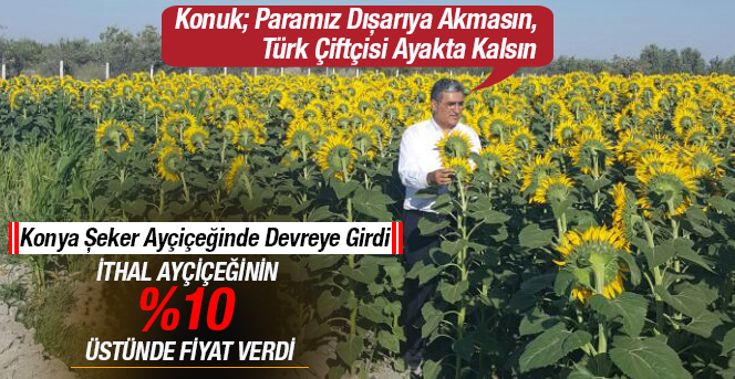 Konya Şeker,Ayçiçeği Avans Fiyatını açıkladı.