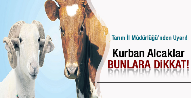 Kurban Alacaklar Bunlara Dikkat