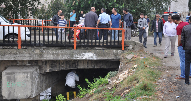 Bursa'da derede ceset bulundu