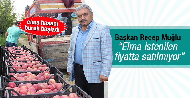 Karaman’da elma hasadı buruk başladı