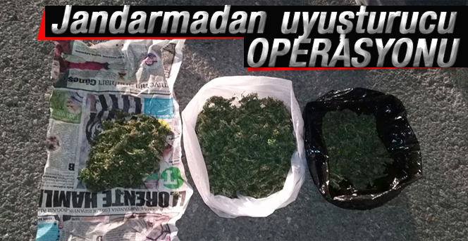 Karaman’da jandarmadan uyuşturucu operasyonu