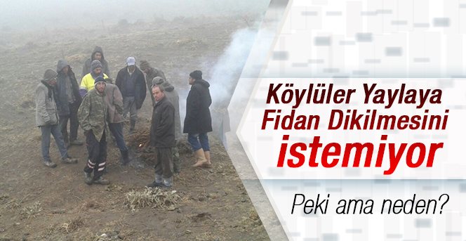 Karaman’da bir grup köylü yaylalarına fidan dikilmesine karşı çıktı