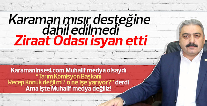 Karaman mısır desteğine dahil edilmedi