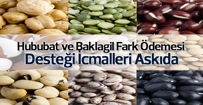 Hububat ve Baklagil Fark Ödemesi Desteği İcmalleri Askıda