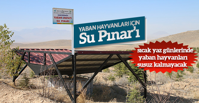 Karaman’da yaban hayvanları için su pınarları yapıldı