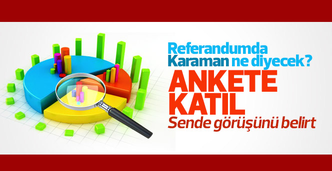 Referandum anketi