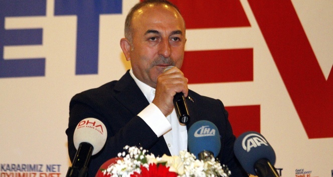 Bakan Çavuşoğlu 'Hayır'cı MHP'lilere seslendi