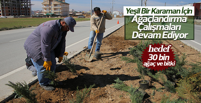 Yeşil Bir Karaman İçin Ağaçlandırma Çalışmaları Devam Ediyor